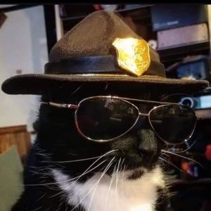 Meet your Posher, Abraham